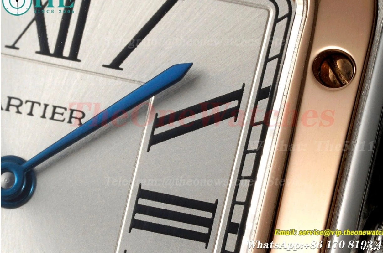 LE AF Dumont RG Silver Dial Brown Santos Quartz 1203